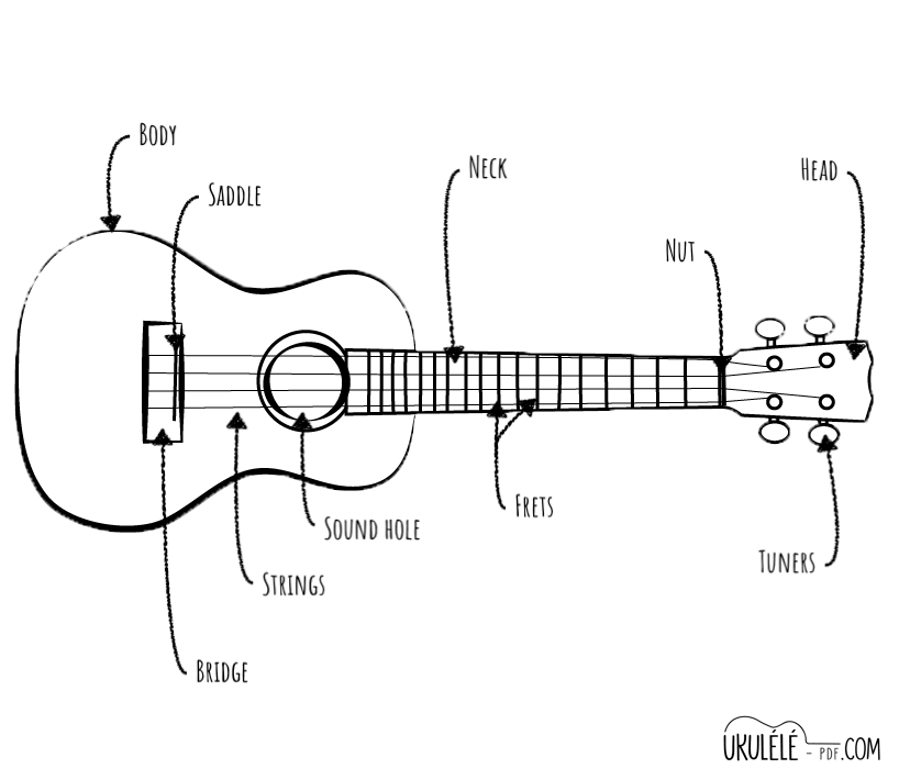 Canoa Reflexión Prestigioso What are the different parts of ukulele ? Lesson #2 on Ukulele-pdf !